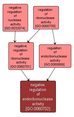 GO:0060702 - negative regulation of endoribonuclease activity (interactive image map)