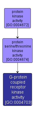 GO:0004703 - G-protein coupled receptor kinase activity (interactive image map)