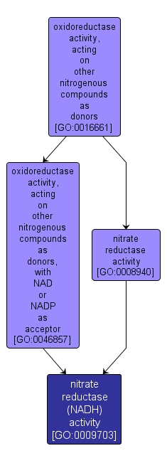 GO:0009703 - nitrate reductase (NADH) activity (interactive image map)