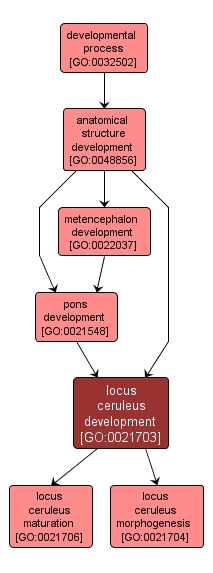 GO:0021703 - locus ceruleus development (interactive image map)