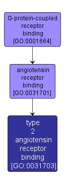 GO:0031703 - type 2 angiotensin receptor binding (interactive image map)