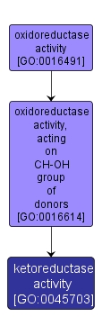 GO:0045703 - ketoreductase activity (interactive image map)