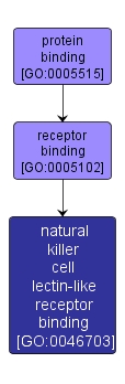 GO:0046703 - natural killer cell lectin-like receptor binding (interactive image map)