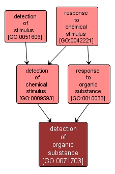 GO:0071703 - detection of organic substance (interactive image map)