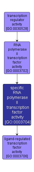 GO:0003704 - specific RNA polymerase II transcription factor activity (interactive image map)