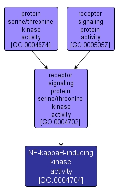 GO:0004704 - NF-kappaB-inducing kinase activity (interactive image map)
