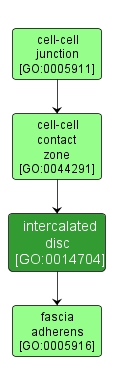 GO:0014704 - intercalated disc (interactive image map)