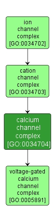 GO:0034704 - calcium channel complex (interactive image map)