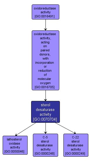 GO:0070704 - sterol desaturase activity (interactive image map)