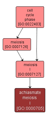 GO:0000705 - achiasmate meiosis I (interactive image map)