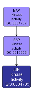 GO:0004705 - JUN kinase activity (interactive image map)