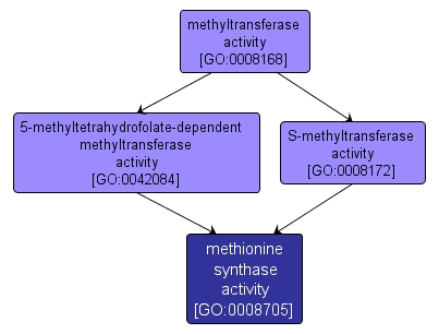 GO:0008705 - methionine synthase activity (interactive image map)