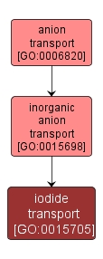 GO:0015705 - iodide transport (interactive image map)