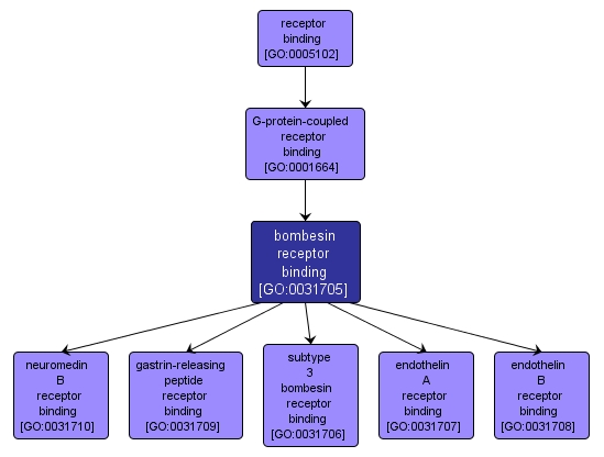 GO:0031705 - bombesin receptor binding (interactive image map)