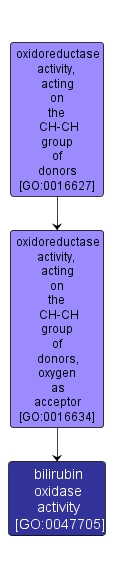 GO:0047705 - bilirubin oxidase activity (interactive image map)