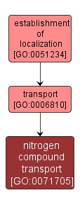 GO:0071705 - nitrogen compound transport (interactive image map)