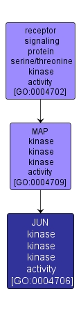 GO:0004706 - JUN kinase kinase kinase activity (interactive image map)