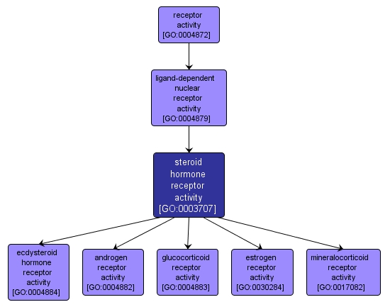GO:0003707 - steroid hormone receptor activity (interactive image map)