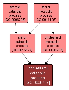GO:0006707 - cholesterol catabolic process (interactive image map)