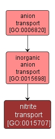 GO:0015707 - nitrite transport (interactive image map)