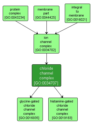 GO:0034707 - chloride channel complex (interactive image map)