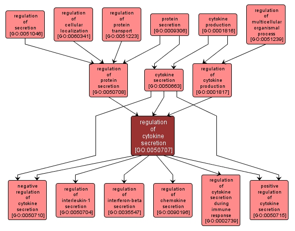 GO:0050707 - regulation of cytokine secretion (interactive image map)