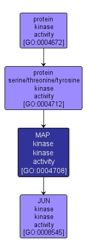 GO:0004708 - MAP kinase kinase activity (interactive image map)
