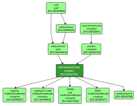 GO:0034708 - methyltransferase complex (interactive image map)