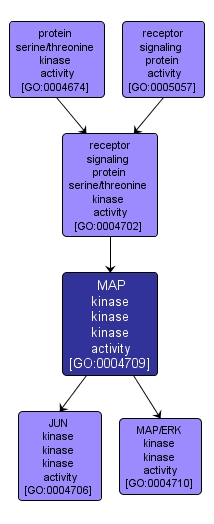 GO:0004709 - MAP kinase kinase kinase activity (interactive image map)