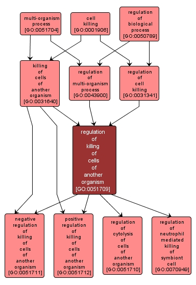 GO:0051709 - regulation of killing of cells of another organism (interactive image map)