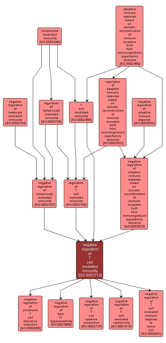 GO:0002710 - negative regulation of T cell mediated immunity (interactive image map)