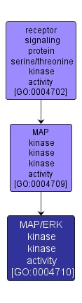 GO:0004710 - MAP/ERK kinase kinase activity (interactive image map)