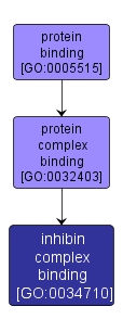 GO:0034710 - inhibin complex binding (interactive image map)