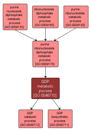 GO:0046710 - GDP metabolic process (interactive image map)