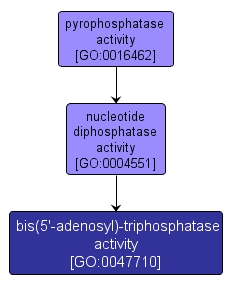 GO:0047710 - bis(5'-adenosyl)-triphosphatase activity (interactive image map)