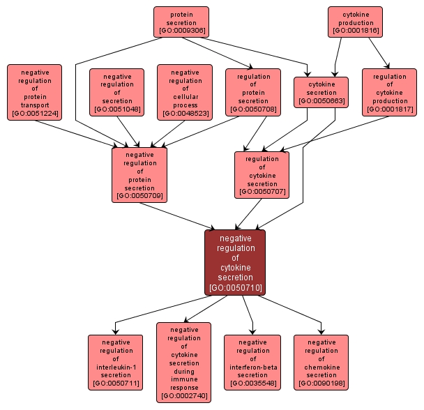 GO:0050710 - negative regulation of cytokine secretion (interactive image map)