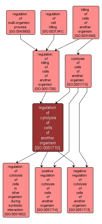 GO:0051710 - regulation of cytolysis of cells of another organism (interactive image map)