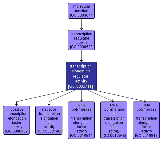 GO:0003711 - transcription elongation regulator activity (interactive image map)