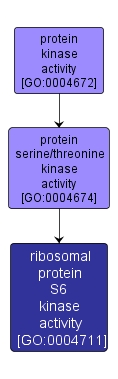 GO:0004711 - ribosomal protein S6 kinase activity (interactive image map)