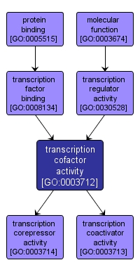 GO:0003712 - transcription cofactor activity (interactive image map)