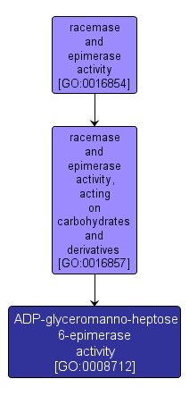 GO:0008712 - ADP-glyceromanno-heptose 6-epimerase activity (interactive image map)