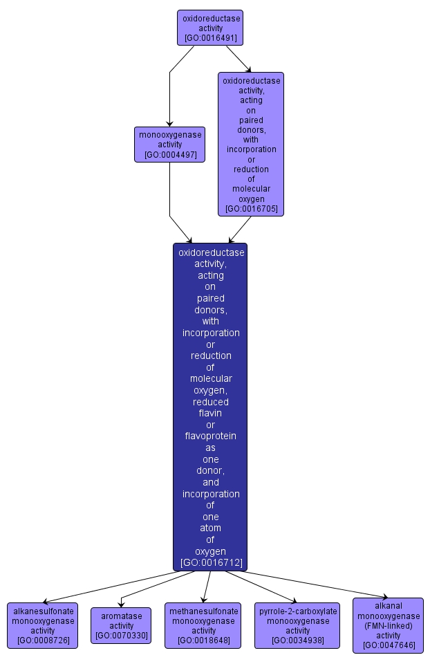 GO:0016712 - oxidoreductase activity, acting on paired donors, with incorporation or reduction of molecular oxygen, reduced flavin or flavoprotein as one donor, and incorporation of one atom of oxygen (interactive image map)