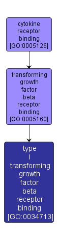 GO:0034713 - type I transforming growth factor beta receptor binding (interactive image map)