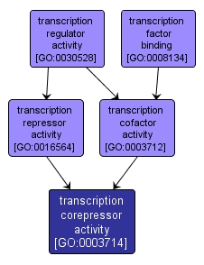 GO:0003714 - transcription corepressor activity (interactive image map)