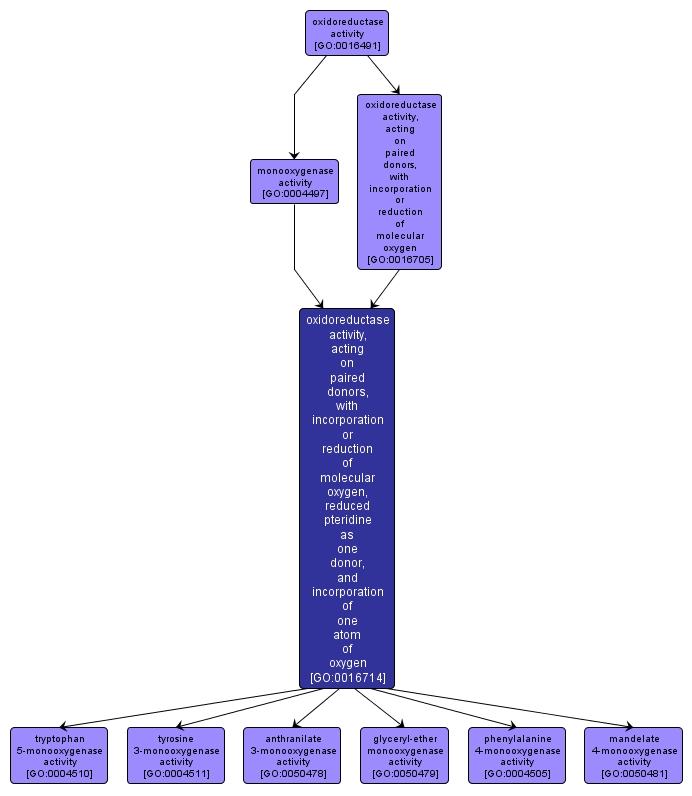 GO:0016714 - oxidoreductase activity, acting on paired donors, with incorporation or reduction of molecular oxygen, reduced pteridine as one donor, and incorporation of one atom of oxygen (interactive image map)