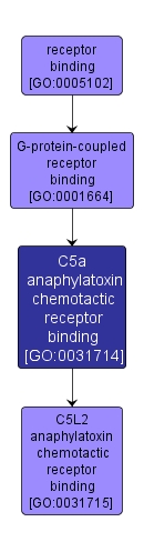 GO:0031714 - C5a anaphylatoxin chemotactic receptor binding (interactive image map)