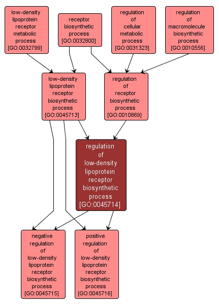 GO:0045714 - regulation of low-density lipoprotein receptor biosynthetic process (interactive image map)