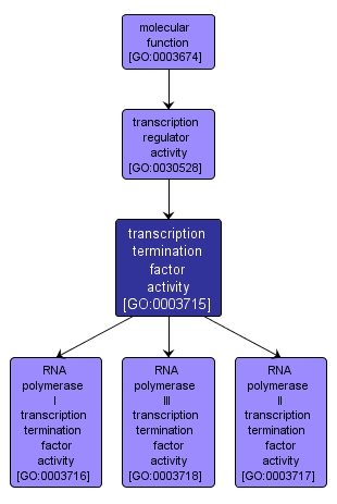 GO:0003715 - transcription termination factor activity (interactive image map)