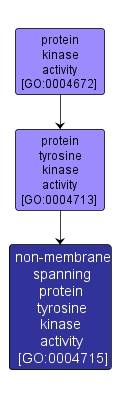 GO:0004715 - non-membrane spanning protein tyrosine kinase activity (interactive image map)