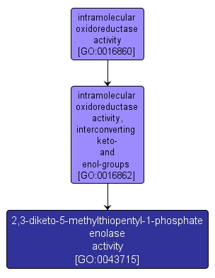 GO:0043715 - 2,3-diketo-5-methylthiopentyl-1-phosphate enolase activity (interactive image map)